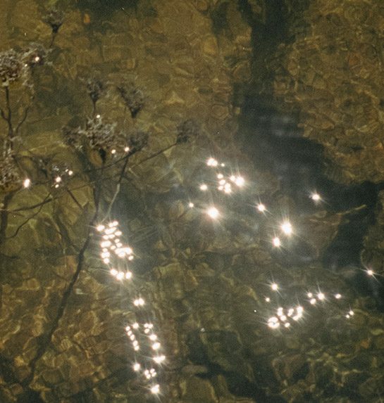 Hojas naturales Secretos del Agua